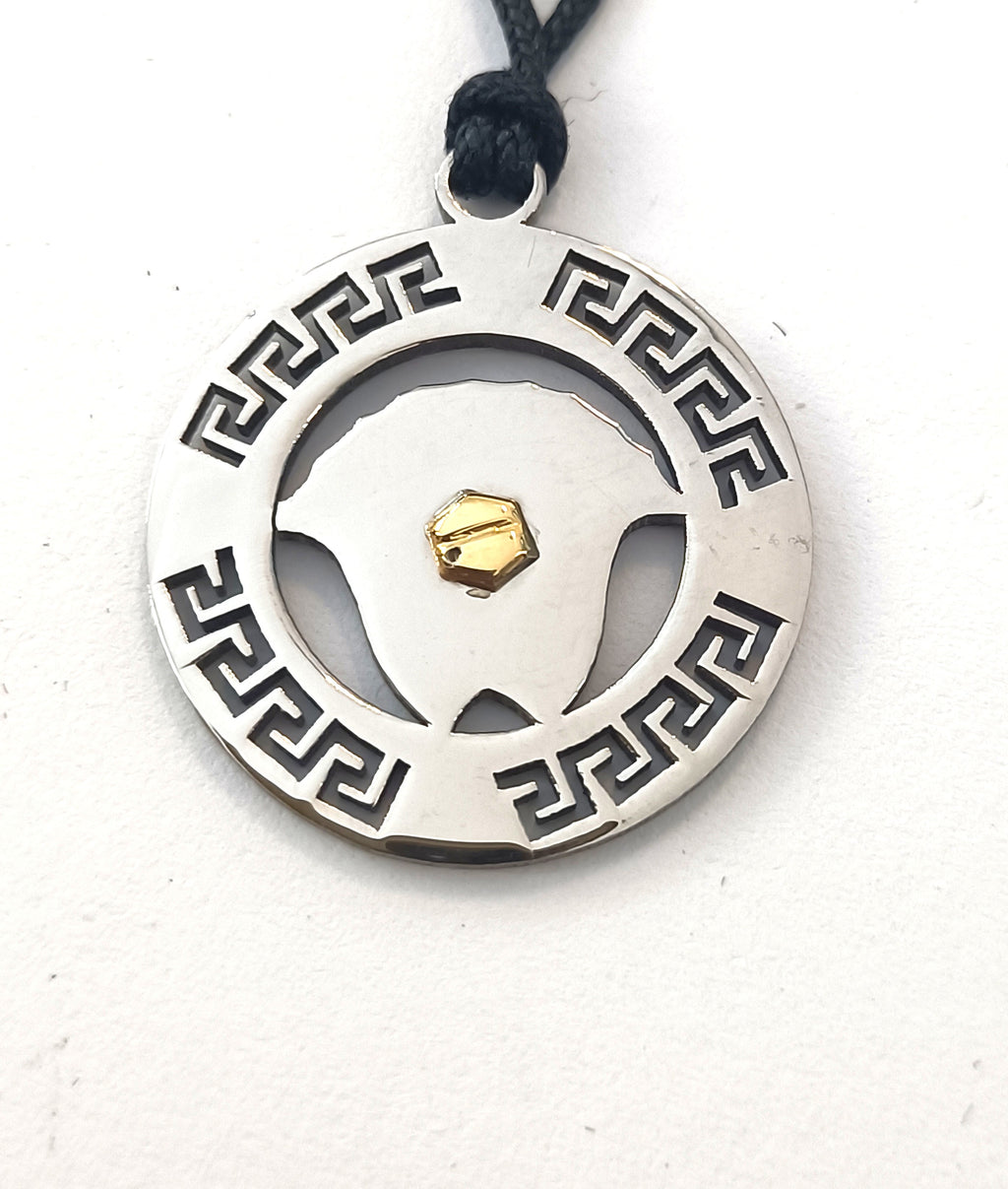 COLLINI IN ACCIAIO ANALLERGICO E ORO 18KT