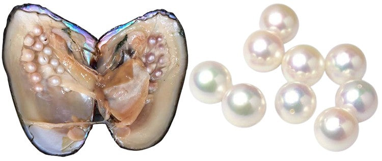 COLLANA DI PERLE AKOYA STUPENDA E ORO GIALLO 18KT